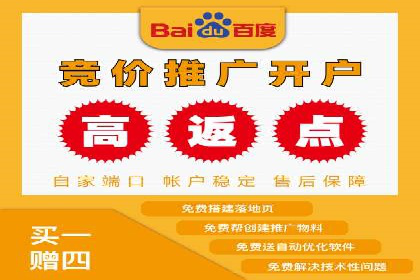 案例分析：SEM托管服务助力电商销量倍增